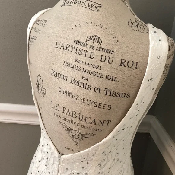 NEW ABBY PARIS SZ 2 IVORY LACE BEADED ILLUSION FORMAL EVENING GOWN - Picture 9 of 12